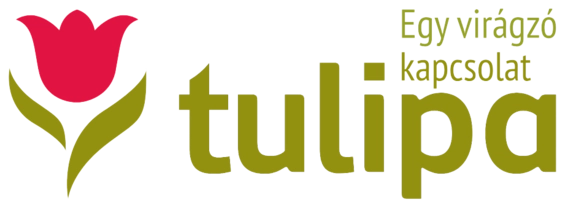 Tulipa
